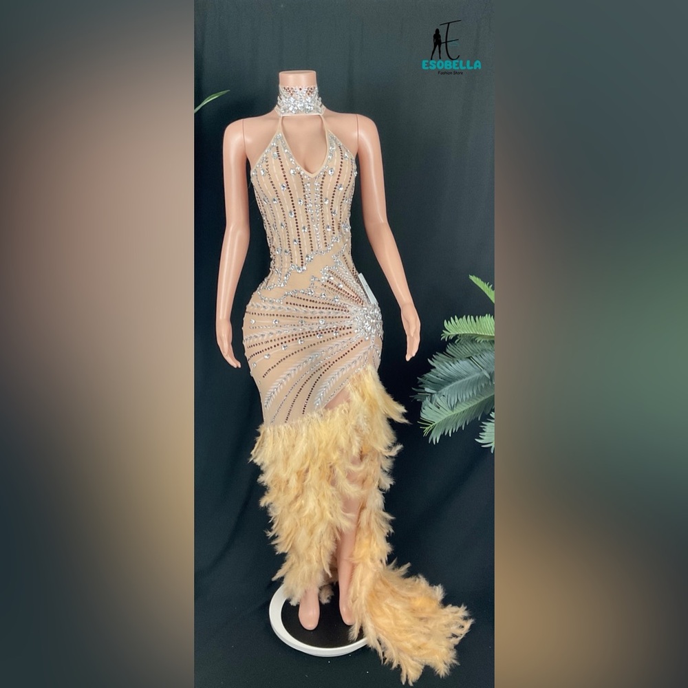 Glam Moment Rhinestone Embellished Bodycon Floor-Length Dress with Feather Train